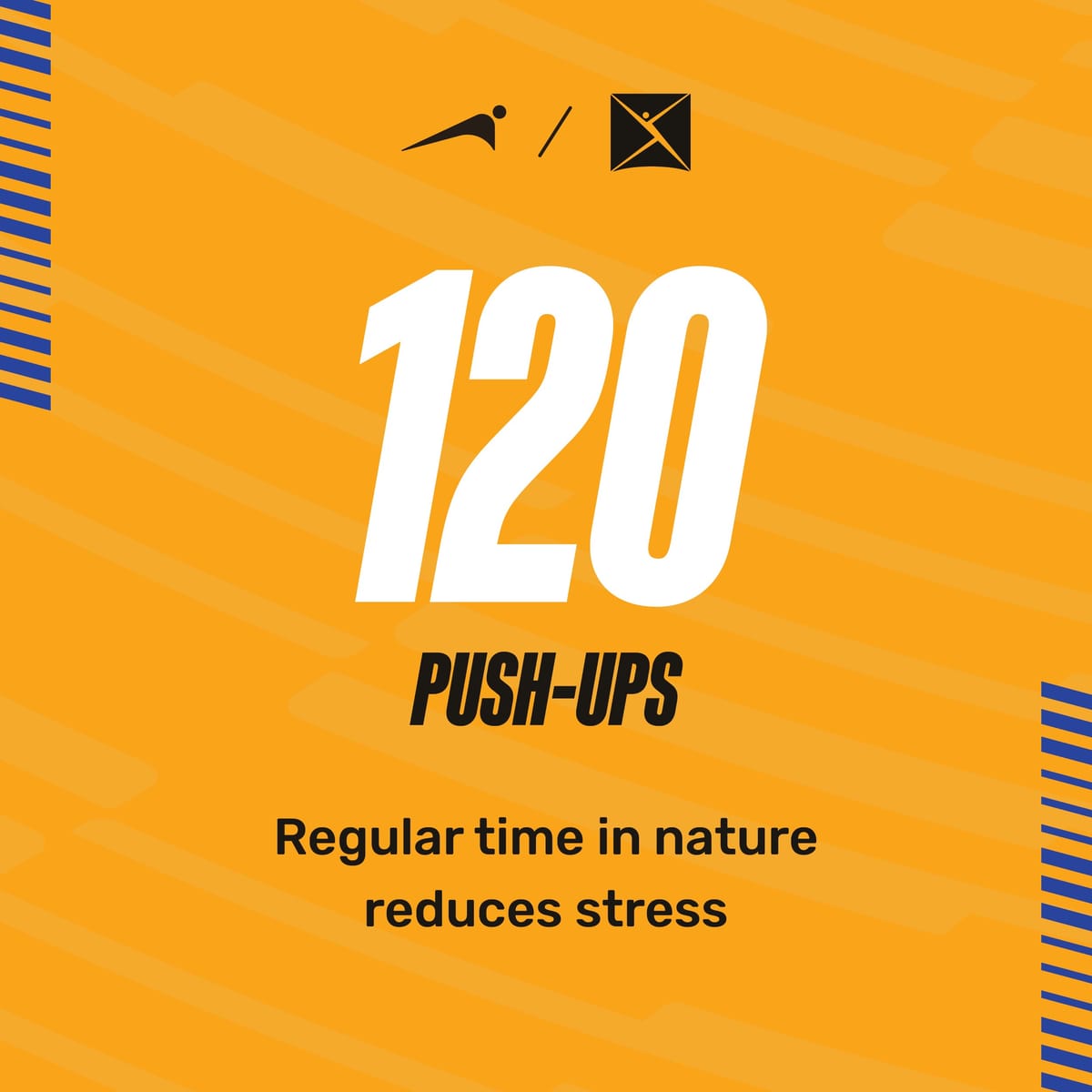 The Push-Up Challenge - Day 15